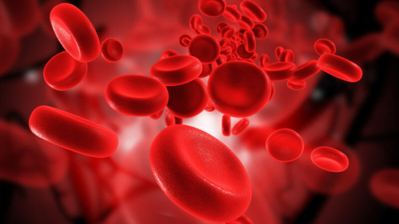 Vitamin B2 góp phần vào quá trình tạo hồng cầu