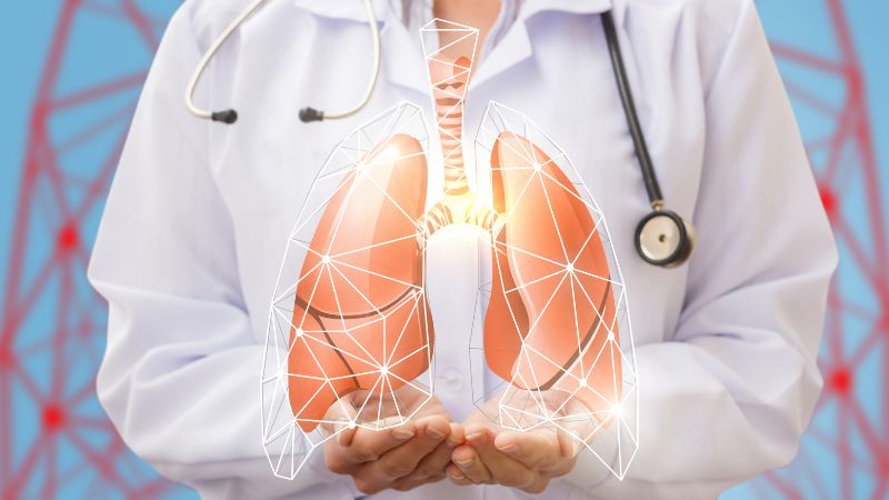 Cây kim tiền cung cấp oxy giúp tăng dung tích phổi