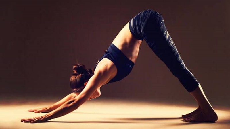 9 tư thế yoga dễ tập cho người mới bắt đầu đơn giản tập tại nhà